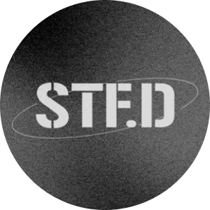 STF Dance Company
